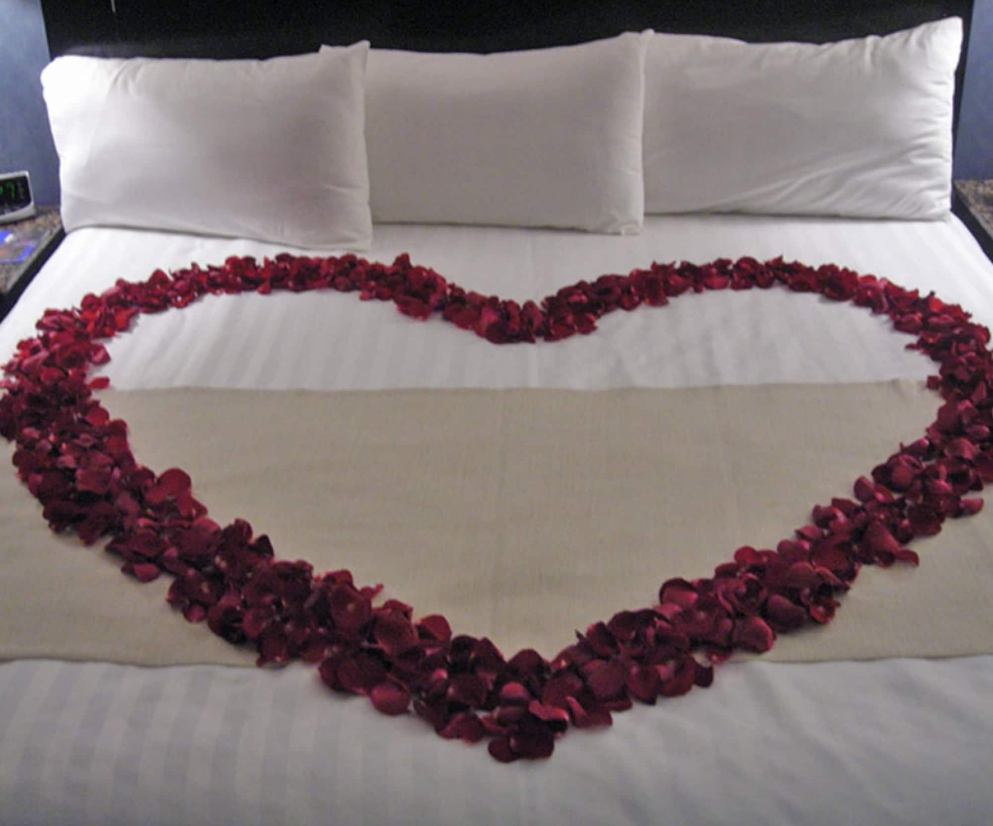 Hotel Royal Garden Reynosa Esterno foto